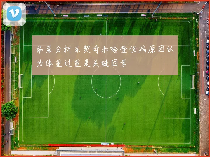 弗莱分析东契奇和哈登伤病原因认为体重过重是关键因素